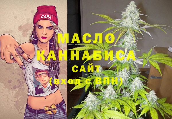 МДПВ Инсар