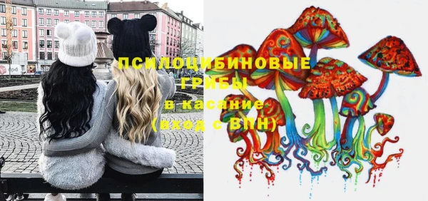 молекула духа Иннополис
