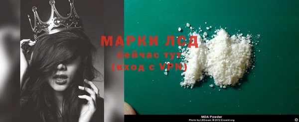 спайс Инта
