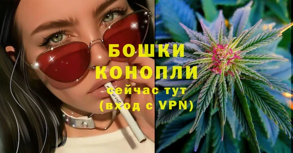 МДПВ Инсар
