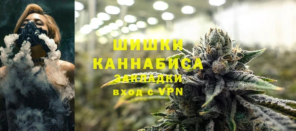 молекула духа Иннополис