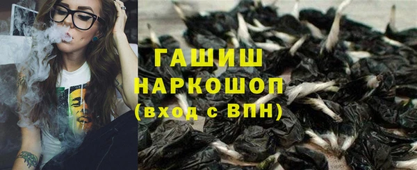 спайс Инта