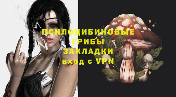 спайс Инта