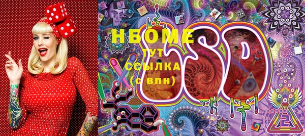 спайс Инта