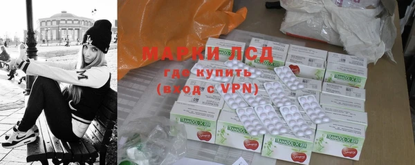спайс Инта