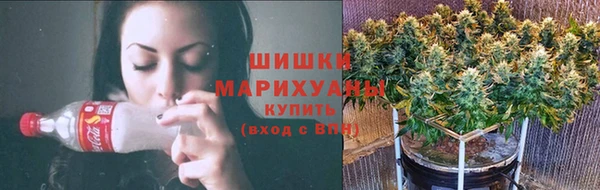 молекула духа Иннополис